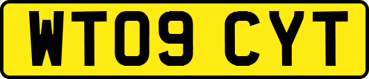 WT09CYT