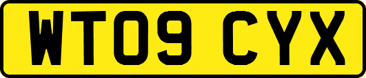 WT09CYX