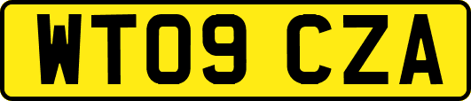 WT09CZA