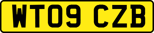 WT09CZB