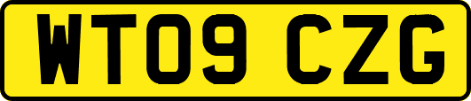 WT09CZG
