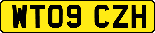 WT09CZH
