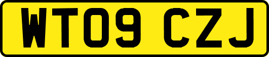 WT09CZJ
