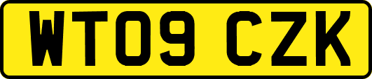 WT09CZK