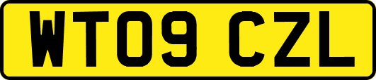 WT09CZL