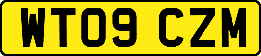 WT09CZM