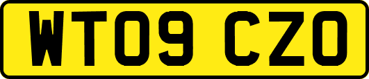 WT09CZO