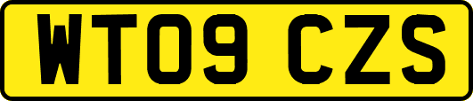 WT09CZS