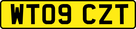 WT09CZT
