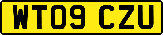 WT09CZU