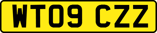 WT09CZZ