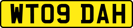 WT09DAH