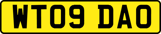 WT09DAO