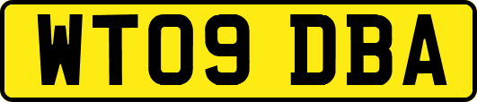 WT09DBA