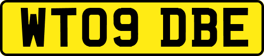 WT09DBE