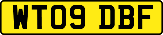 WT09DBF