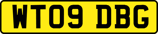 WT09DBG