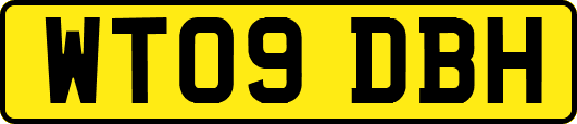 WT09DBH