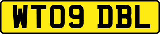 WT09DBL