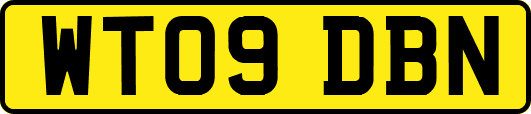 WT09DBN