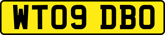 WT09DBO