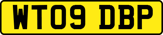 WT09DBP