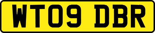 WT09DBR