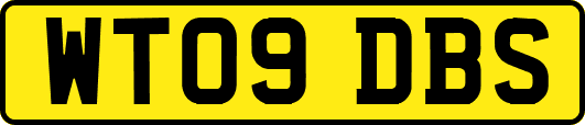 WT09DBS
