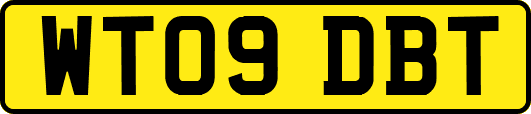 WT09DBT