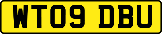 WT09DBU