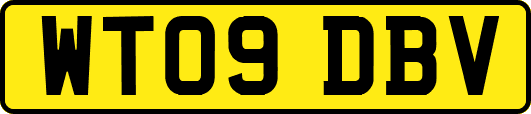 WT09DBV
