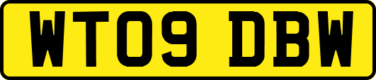 WT09DBW
