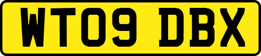 WT09DBX