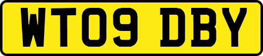 WT09DBY