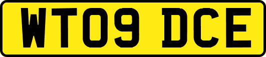 WT09DCE