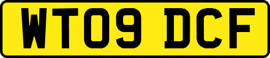 WT09DCF