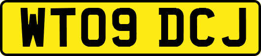 WT09DCJ