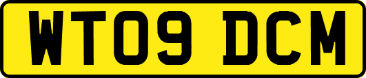 WT09DCM