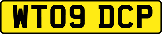 WT09DCP