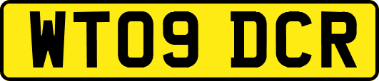 WT09DCR