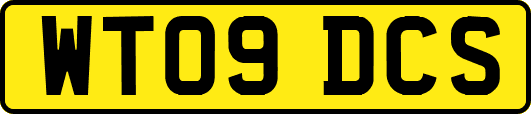 WT09DCS