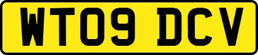 WT09DCV