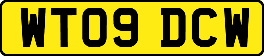 WT09DCW