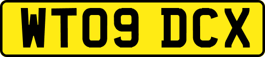 WT09DCX
