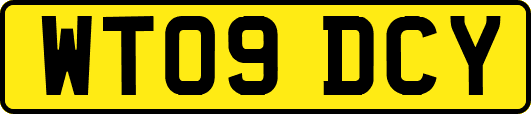WT09DCY