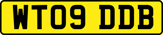 WT09DDB