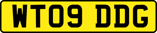 WT09DDG