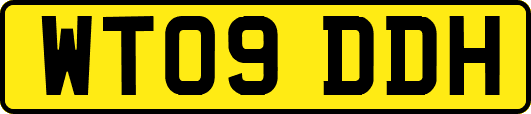 WT09DDH
