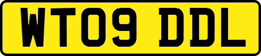 WT09DDL