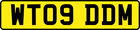 WT09DDM